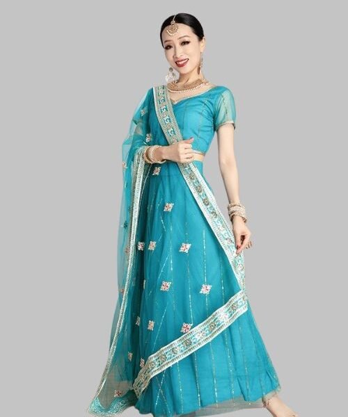 Indian Wedding Saree - Cultural Wear