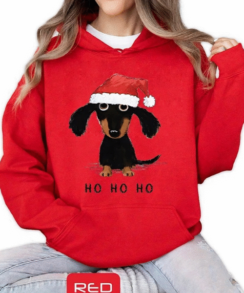 Festive Dachshund Holiday Hoodie, Christmas Dachshund Pullover Hoodie, Holiday Pullover Hoodie, Winter Dachshund Hoodie for Women